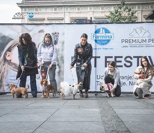 BEOGRADSKI PET FESTIVAL