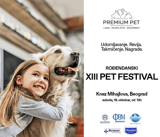 XIII PET FESTIVAL