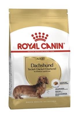 RC Dachshund 1,5kg