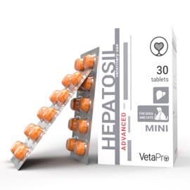 Hepatosil advanced MINI 30 tbl.