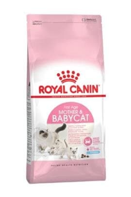 RC Baby Cat