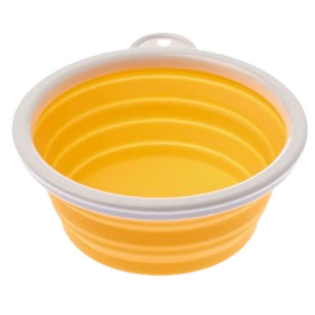 Činija putna