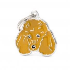 APRICOT POODLE