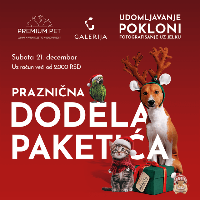 PRAZNIČNA DODELA NOVOGODIŠNJIH PAKETIĆA