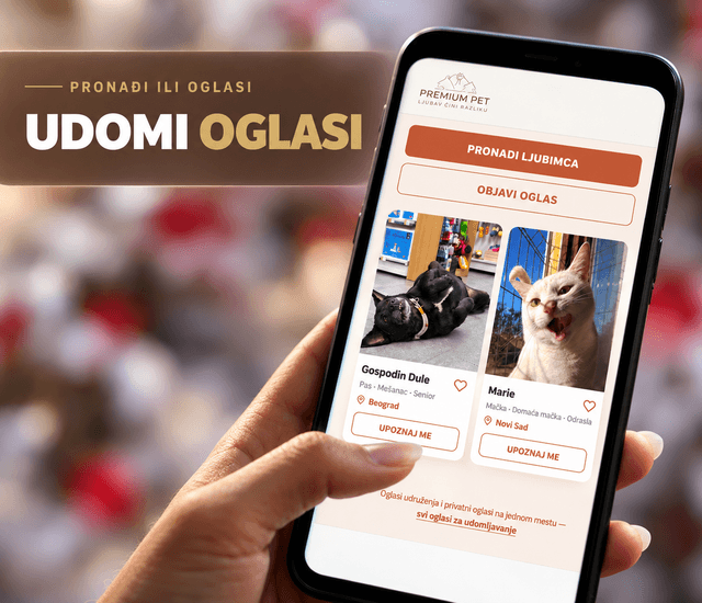 Udomi psa ili mačku | Oglasi za udomljavanje