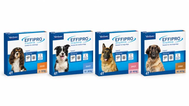 Effipro SpotOn za pse