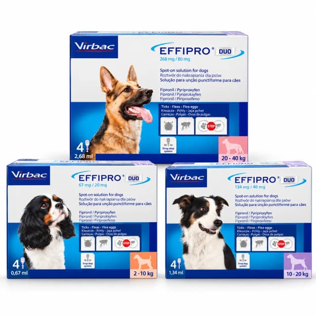 Effipro duo SpotOn za pse