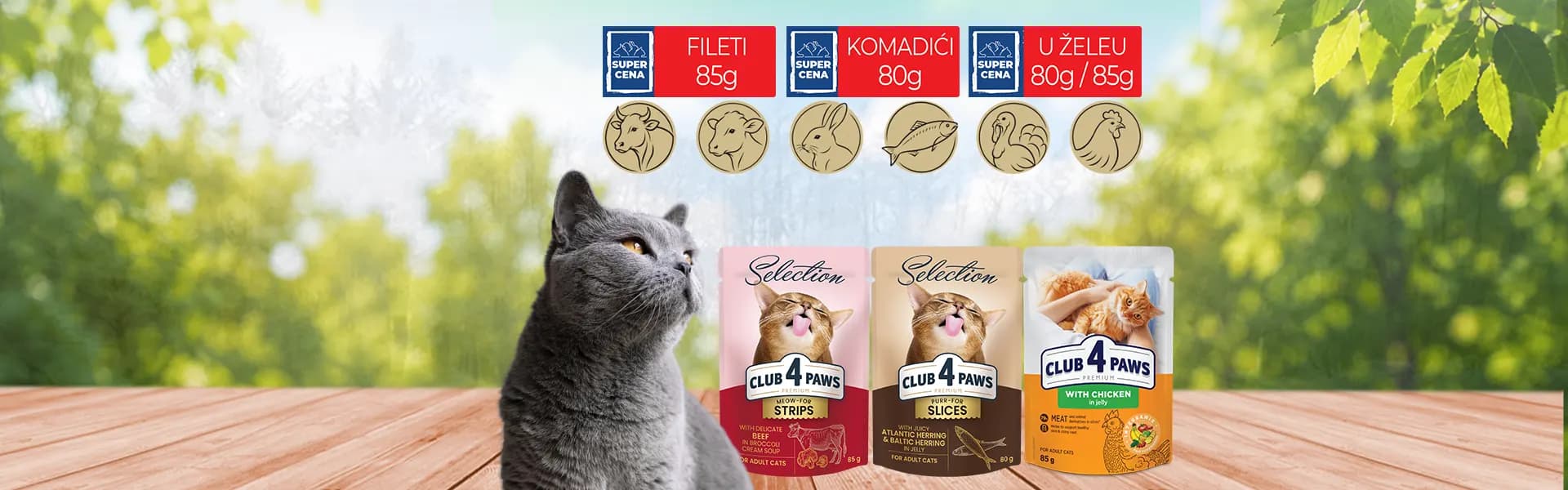 CLUB 4 PAWS

_SUPER CENA_