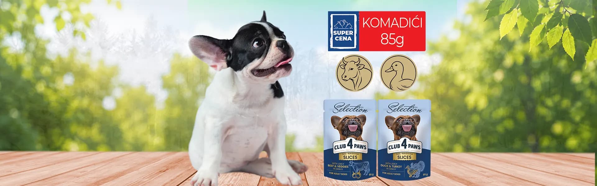 CLUB 4 PAWS

_SUPER CENA_
