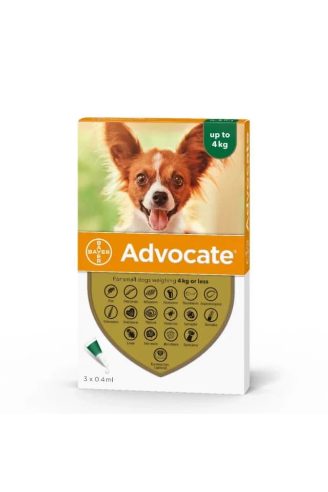 Advocate SpotOn za pse