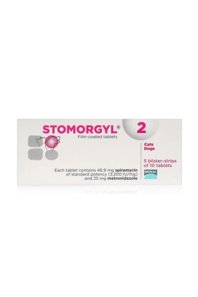 Stomorgyl 2 (1 kom)