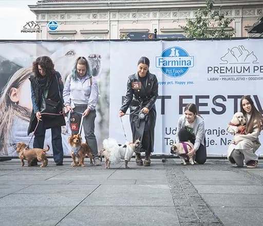 BEOGRADSKI PET FESTIVAL