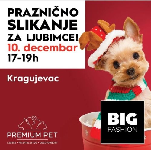 PRAZNIČNO FOTOGRAFISANJE PORED JELKE