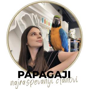 Papagaji - najraspevaniji članovi naših porodica